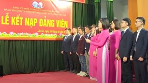 Tỉnh ủy Lào Cai phấn đấu kết nạp 3.635 đảng viên trong năm 2026