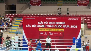  312 VĐV tranh tài tại Giải vô địch Boxing các đội mạnh toàn quốc 2026