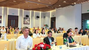 Lào Cai tập huấn xây dựng môi trường du lịch không khói thuốc