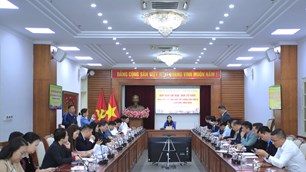 Gần 800 người trình diễn tại lễ Khai mạc Ngày hội Văn hóa dân tộc Chăm lần thứ VI 