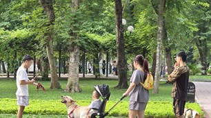 Nỗi bất an của người dân khi đến Công viên Thống Nhất