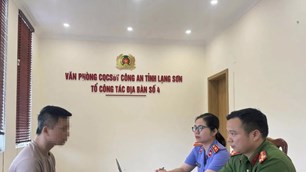 Khởi tố người đi bộ gây tai nạn giao thông