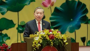 Nơi ứng cử đại biểu Quốc hội của Tổng Bí thư Tô Lâm, lãnh đạo Đảng, Nhà nước và lãnh đạo Bộ VHTTDL