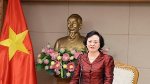 Chuyển giao quản lý Khu Liên hợp thể thao quốc gia Mỹ Đình để phát huy tốt hơn
