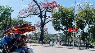 Khi AI “lên lịch thay người”: Thách thức không nhỏ cho tour truyền thống 