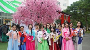 Sôi nổi trải nghiệm văn hoá Hàn Quốc dành cho học sinh, sinh viên Đà Nẵng