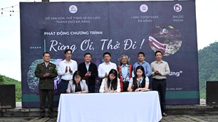 Chung tay trồng rừng bản địa gắn với du lịch sinh thái tại Đà Nẵng