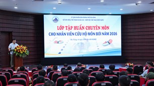 Đà Nẵng: Tập huấn chuyên môn cho hơn 80 nhân viên cứu hộ môn bơi