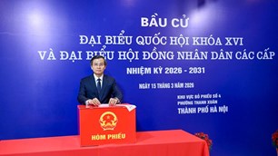 Cử tri phường Thanh Xuân phấn khởi tham gia bầu cử