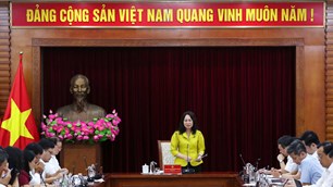 Xác định rõ trọng tâm, trọng điểm, tăng tốc chuyển đổi số ngành VHTTDL