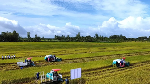 Doanh nghiệp, hiệp hội chung tay giữ nhịp sản xuất nông nghiệp