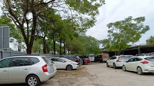 Phạt cho tồn tại?