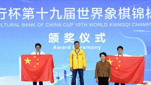 Niềm tự hào của trí tuệ Việt Nam