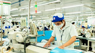 TP.HCM cần gần 60.000 việc làm sau Tết: Nhu cầu tăng mạnh theo nhịp sản xuất xuất khẩu