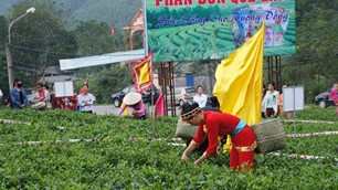 Công nghệ số mở lối cho “thủ phủ trà”