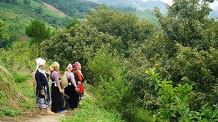 Thái Nguyên triển khai hiệu quả Chương trình Mục tiêu quốc gia giảm nghèo bền vững giai đoạn 2021–2025