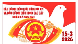 Triển khai công tác bầu cử đại biểu Quốc hội khóa XVI và đại biểu HĐND các cấp 