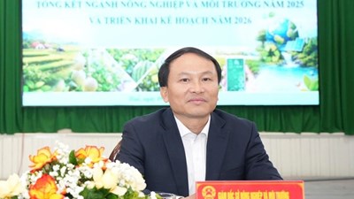 Đề nghị kỷ luật Giám đốc Sở Nông nghiệp và Môi trường TP. Huế