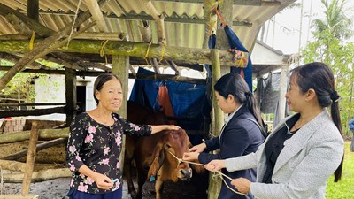 Xã Nghĩa Hành trao sinh kế cho người nghèo