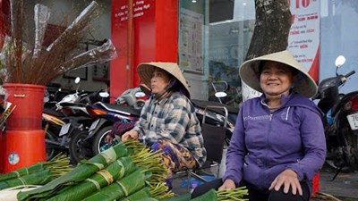 Cận Tết, thị trường lá dong, lá chuối “nóng” theo từng ngày