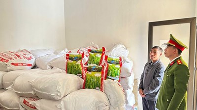 Triệt phá đường dây sản xuất gạo giả tại Hà Tĩnh