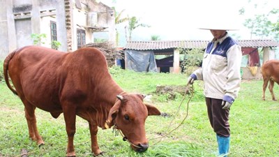 Thái Nguyên đa dạng hóa nguồn vốn, đẩy mạnh mục tiêu xoá đói giảm nghèo bền vững