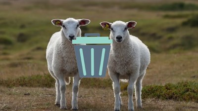 Cách xóa ảnh trùng lặp nhanh nhất trên điện thoại