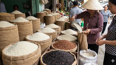 Giá lúa gạo hôm nay 2.2: Thị trường lặng sóng, đi ngang trước Tết 