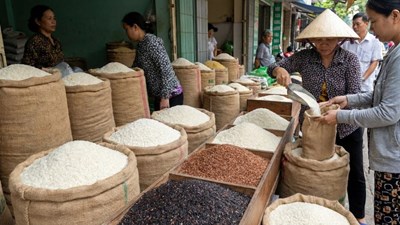 Giá lúa gạo hôm nay 3.2.2026: Thị trường chững lại trước Tết