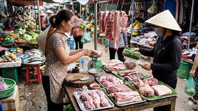 Giá heo hơi hôm nay 16.3: Dao động 60.000 – 66.000 đồng/kg