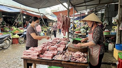 Giá heo hơi hôm nay 29.3: Áp lực giảm xuất hiện ở miền Trung