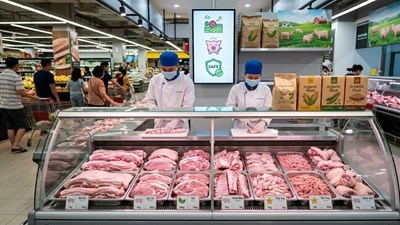 Giá heo hơi hôm nay 5.5: Dao động 64.000 – 70.000 đồng/kg