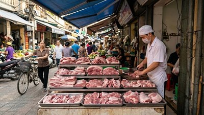 Giá heo hơi hôm nay 7.5: Xu hướng tăng nhẹ tiếp diễn
