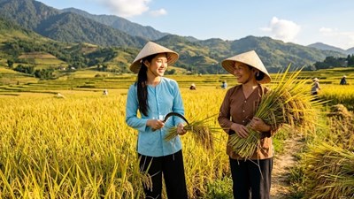 Giá gạo xuất khẩu duy trì ổn định, triển vọng tháng 6 ra sao?