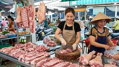 Giá heo hơi hôm nay 6.6: Xuất hiện mức thấp nhất 65.000 đồng/kg