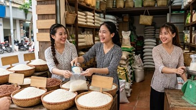 Giá lúa gạo hôm nay 2.7.2026: Lúa giảm nhẹ, gạo xuất khẩu đi ngang