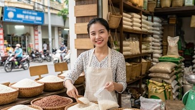 Giá lúa gạo hôm nay 3.7.2026: Lúa ổn định, gạo Jasmine bán lẻ tăng
