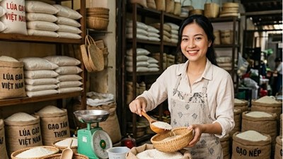 Giá lúa gạo hôm nay 4.7.2026: Xuất khẩu tăng, nội địa vẫn chậm