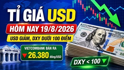 Tỉ giá USD hôm nay 19.8.2026: Giá ngân hàng quay đầu giảm, DXY dưới 100 điểm