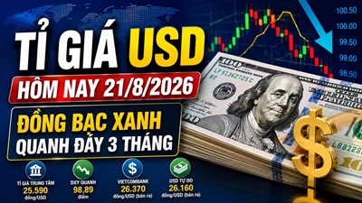 Tỉ giá USD hôm nay 21.8: Giá ngân hàng ổn định, đồng bạc xanh chưa thoát đáy