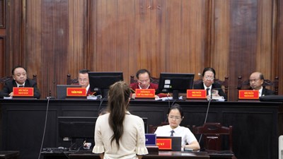 An Tây, Chi Dân và Trúc Phương khai gì tại phiên tòa?