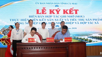Phát triển HTX gắn với du lịch nông nghiệp để khai thác tài nguyên bản địa
