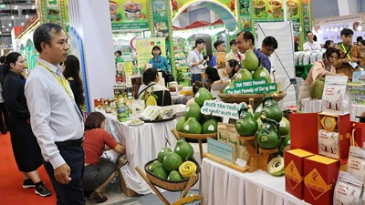 Hơn 400 doanh nghiệp giới thiệu các sản phẩm xuất khẩu chủ lực