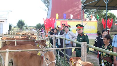 Sư đoàn 10 trao sinh kế bền vững cho người dân xã Ia Chim