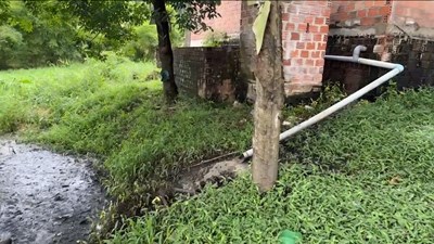 Trang trại heo bị phản ánh ô nhiễm: Kiểm tra phát hiện nhiều tồn tại