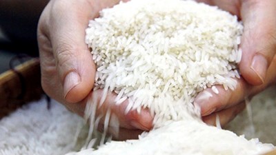 Gạo hữu cơ, gạo đặc sản được “mở cửa” xuất khẩu thế nào từ tháng 10?