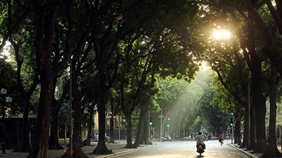 Dự báo thời tiết 20.12: Hà Nội và Bắc Bộ trời hửng nắng