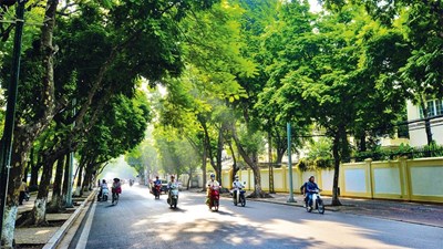  Dự báo thời tiết 4.2: TP. Hồ Chí Minh và Nam Bộ ngày nắng ráo