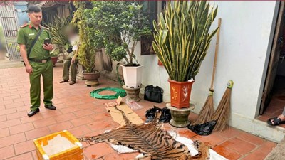 Cảnh sát phát hiện 2 vụ hổ chuẩn bị vào nồi nấu cao ở Bắc Ninh