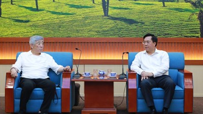 Phú Thọ tiếp và làm việc với lãnh đạo Tập đoàn Balcom, Nhật Bản